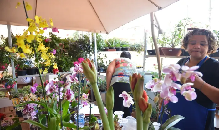 © José Cruz/Agência Brasil