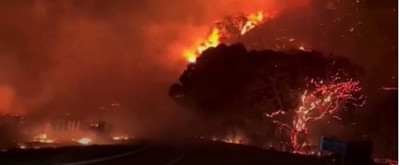 Incêndio de grandes proporções atinge área de mata em Colatina