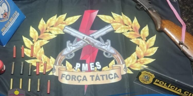 Polícia apreende arma e munições em Águia Branca