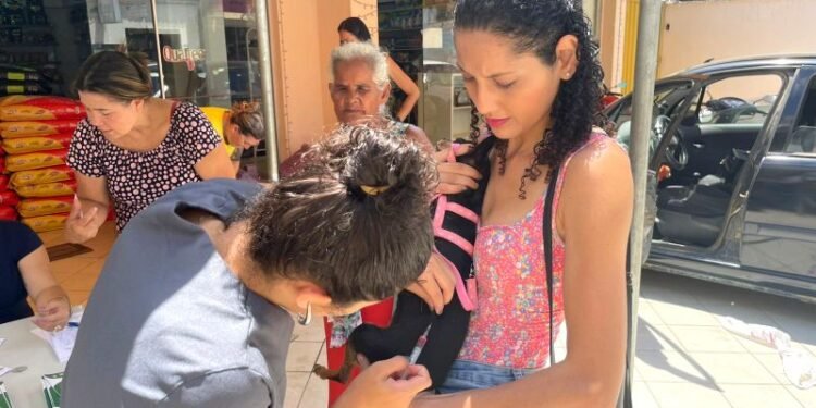 Barra de São Francisco realiza Dia D de vacinação antirrábica e antivirose pelo Programa Pet Vida