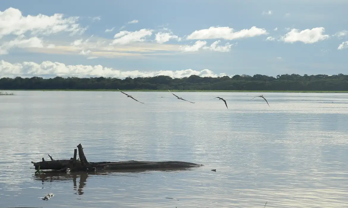 Foto: Tomaz Silva/Agência Brasil