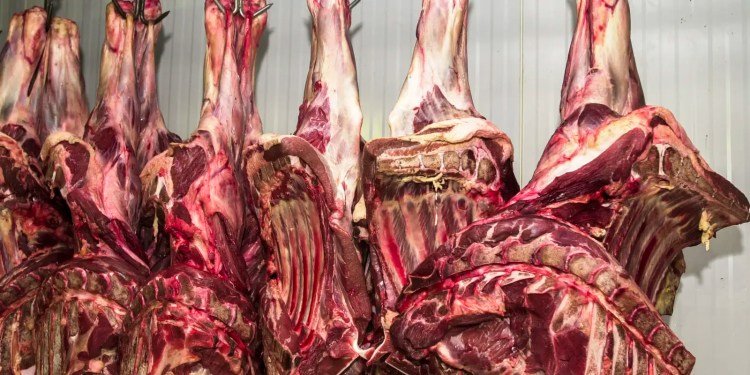 China abre investigação sobre importação de carne bovina