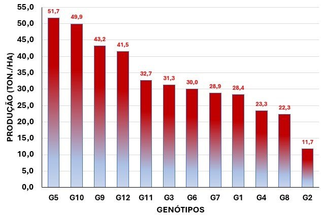 Produção estimada de genótipos de aceroleira avaliados pelo Incaper na região sul do estado do Espírito Santo na Safra 2024/2025.