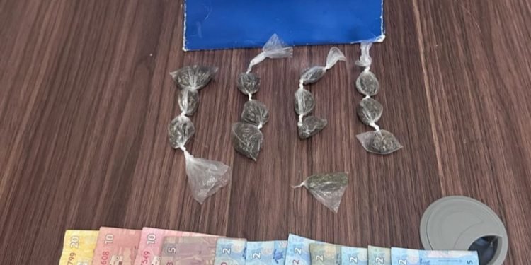 POLICIAIS DO 11º BPM REALIZAM APREENSÕES DE MACONHA EM ECOPORANGA E BARRA DE SÃO FRANCISCO POLICIAIS DO 11º BPM REALIZAM APREENSÕES DE MACONHA EM ECOPORANGA E BARRA DE SÃO FRANCISCO