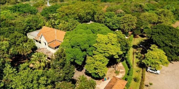 Parque Botânico de Aimorés recebeu 125 mil visitantes em 16 anos