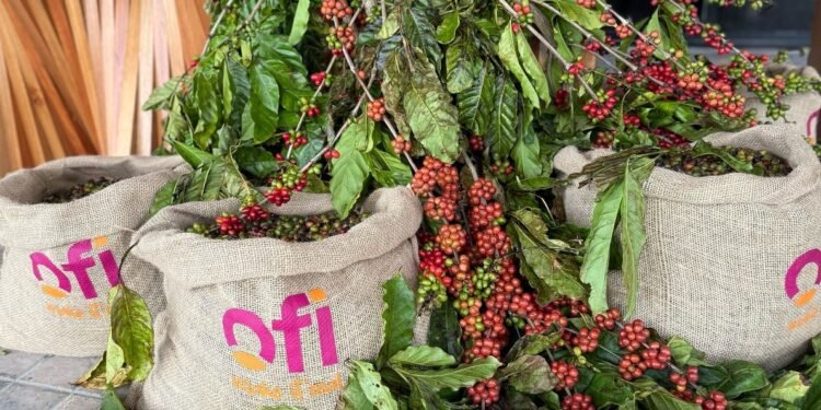 Produção industrial do ES avança +2,6% em março, diz o IBGE