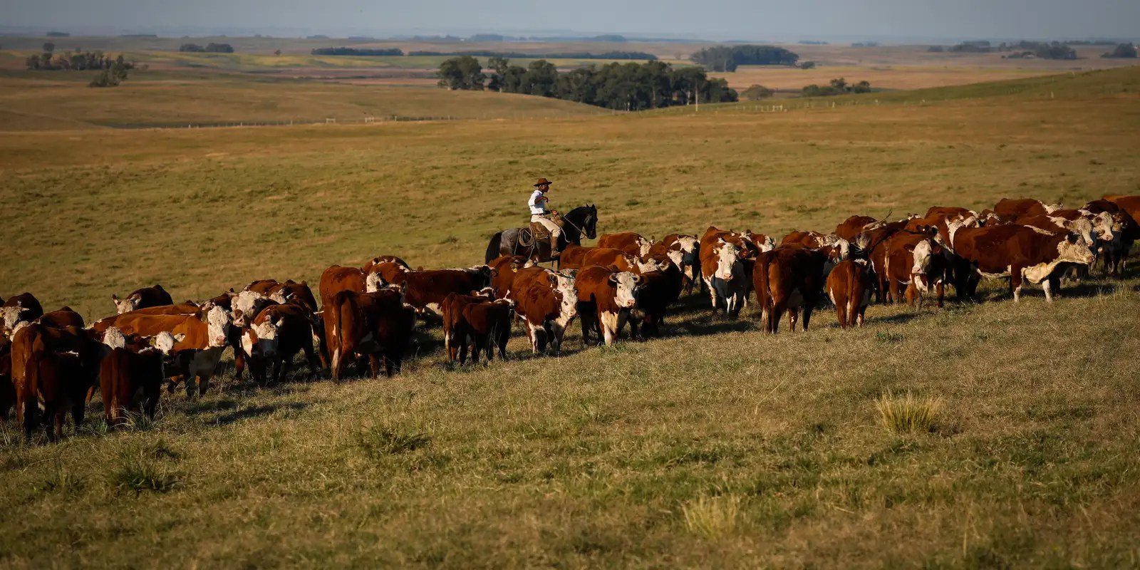 PIB cresce 1,4% no primeiro trimestre de 2025 PIB cresce 1,4% no primeiro trimestre de 2025