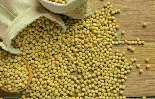 Foto: Jcomp/Freepik Foto: Jcomp/Freepik