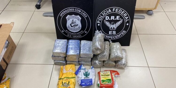 Rota postal MS-ES: apreensão de 34kg de drogas e prisão de seis pessoas