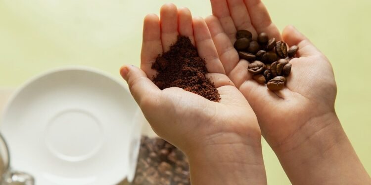 Jaguaré, maior produtor de café do Brasil, realiza festa e feira de agronegócios