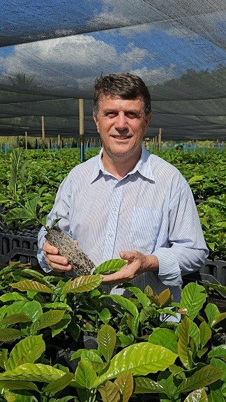 Estudos são liderados pelo pesquisador Abraão Carlos Verdin Filho, da Fazenda Experimental de Marilândia