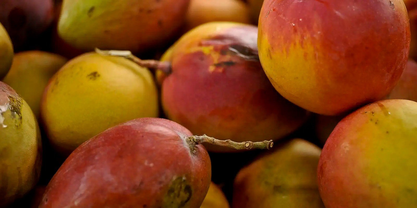 Abrafrutas apoia plano e pede atenção a pequenos produtores