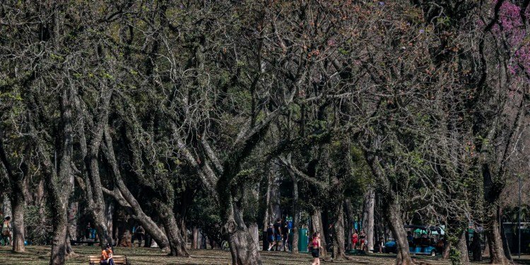 Cidade de São Paulo tem agosto mais seco desde 2020