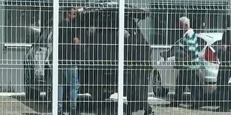 Corrupção em Pedro Canário: empresários se entregam à Federal; veja vídeo