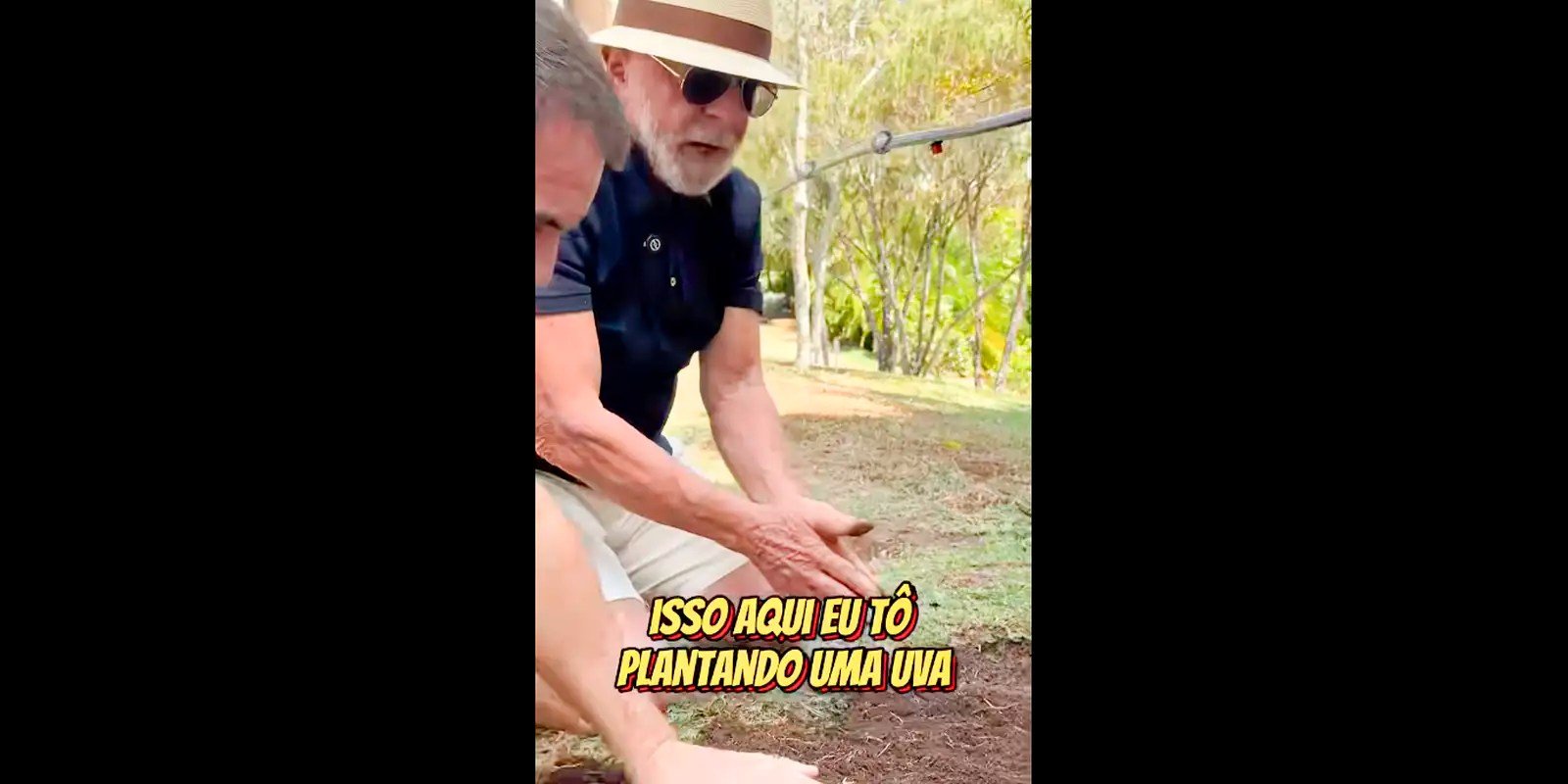 Em vídeo a Trump, Lula planta uva e diz semear comida e não ódio Em vídeo a Trump, Lula planta uva e diz semear comida e não ódio