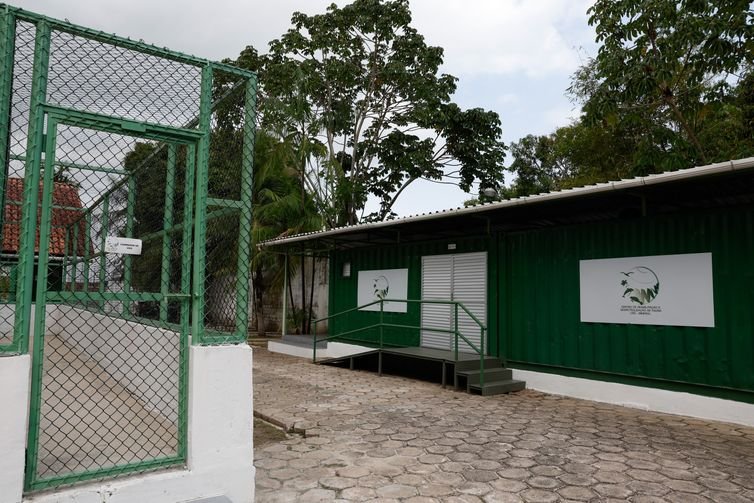 Belém (PA) 13/12/2024 – Centro de Reabilitação e Despetrolização de Fauna mantido pela Petrobras para a exploração na Margem Equatorial opera de prontidão para tratar animais marinhos em casos de acidentes. Foto: Fernando Frazão/Agência Brasil