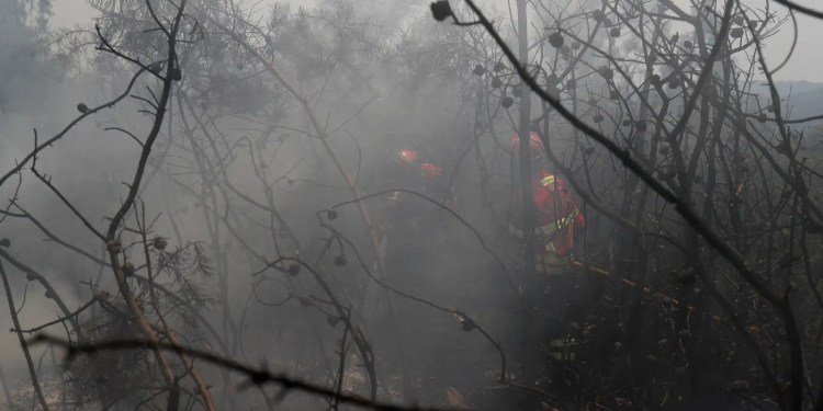 UE: incêndios florestais já queimaram mais de 1 milhão de hectares
