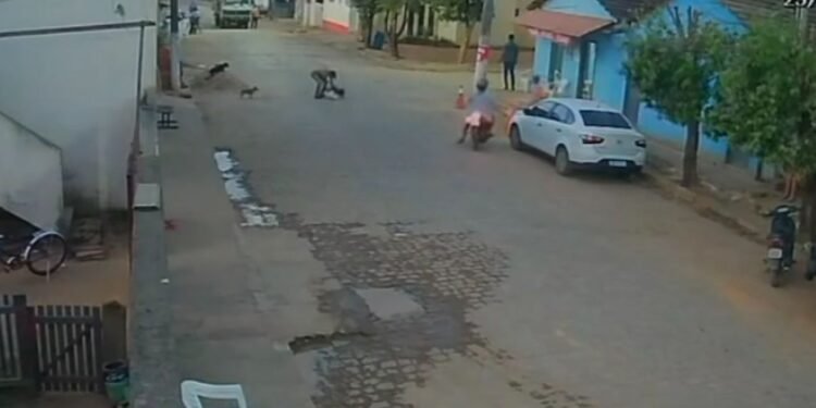Vídeo mostra homem matando cachorro em via pública em Baixo Guandú Vídeo mostra homem matando cachorro em via pública em Baixo Guandú