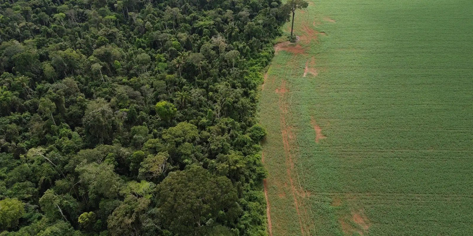 Brasil apresenta soluções de financiamento climático em Nova York Brasil apresenta soluções de financiamento climático em Nova York