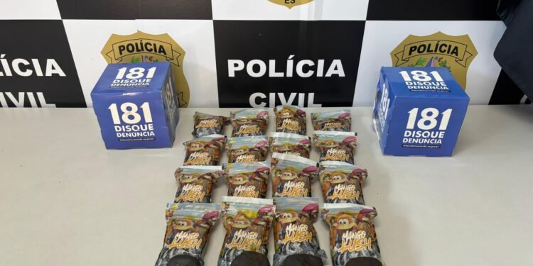 Homem preso em flagrante na BR 262 com 2kg de haxixe Homem preso em flagrante na BR 262 com 2kg de haxixe