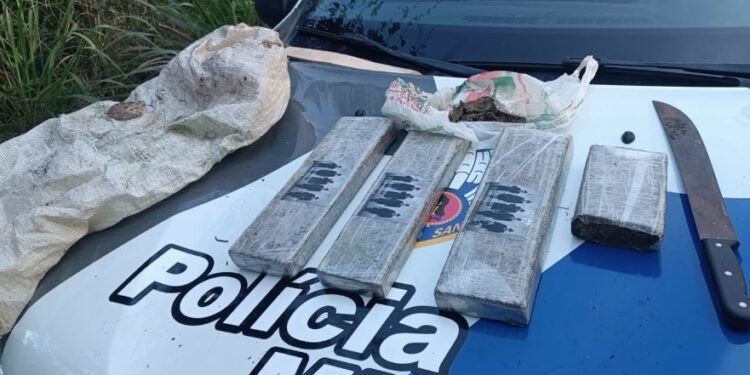 Polícia encontra mais de 3 tabletes de maconha em área de mata em São Mateus