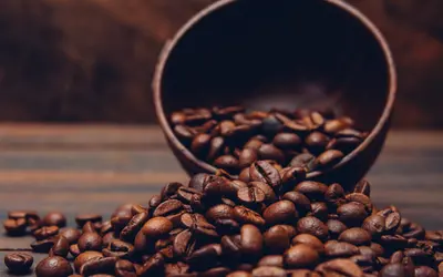 Foto: Freepik Foto: Freepik