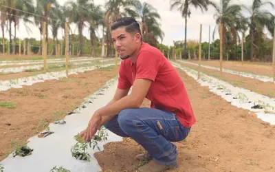 Foto: Reprodução/MIDR