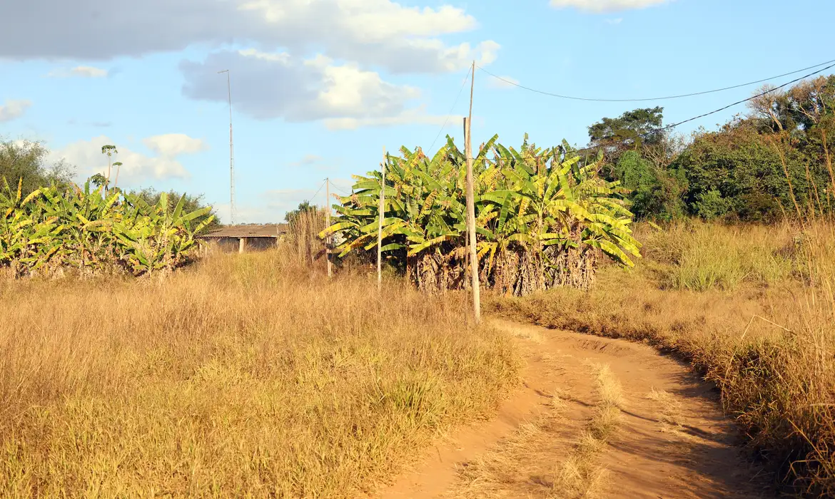 Foto: Valter Campanato/Agência Brasil