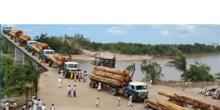 Foto que fala em época de COP30: Ecoporanga em 1960