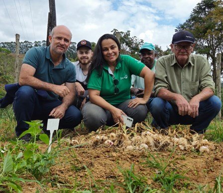 Colheita em experimento no município de Colatina