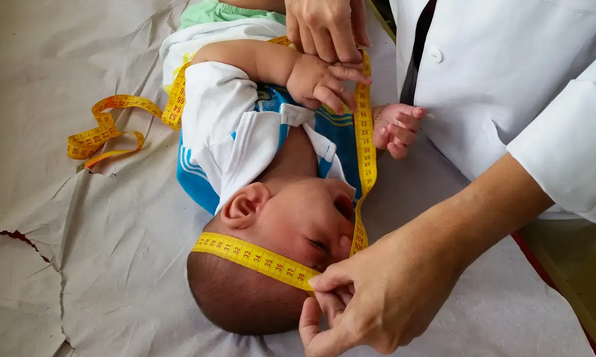 Imagem: Sumaia Villela/Agência Brasil Imagem: Sumaia Villela/Agência Brasil