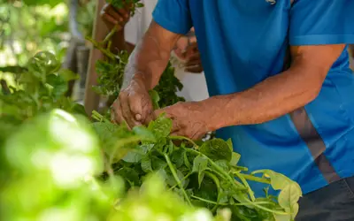 Foto: Tomaz Silva/Agência Brasil Foto: Tomaz Silva/Agência Brasil