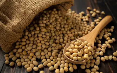 Foto: Freepik Foto: Freepik