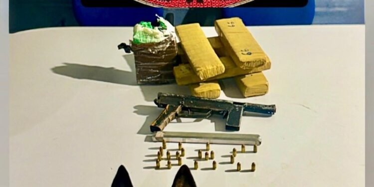 BAC apreende armas, drogas e explosivos durante Operação Verão em Guriri, em São Mateus