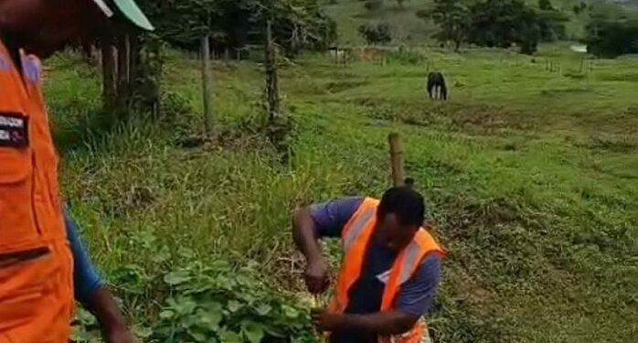 Defesa Civil monitora chuvas em Barra de São Francisco e mantém equipes em alerta