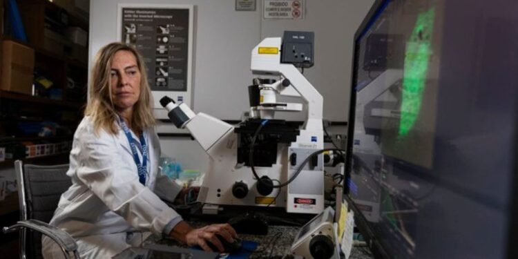 Tatiana Sampaio, a pesquisadora que criou a polilaminina, é homenageada no Espírito Santo