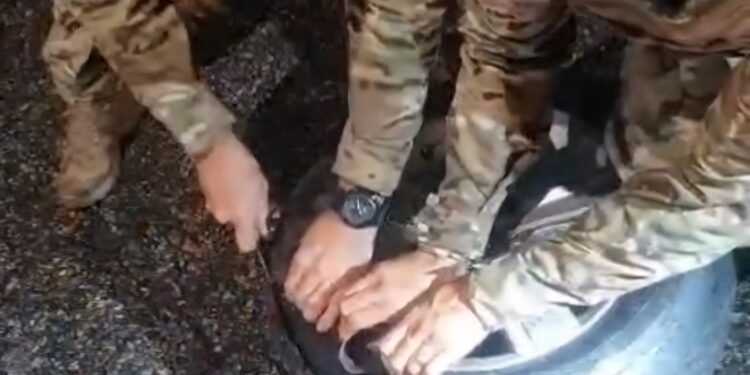 PRF prende motorista, na BR 101 Sul, e apreende 3kg de drogas destinadas ao Noroeste