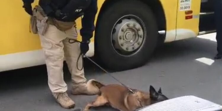 O “movimento” não para: PRF apreende em bagageiro de ônibus 21kg de maconha em Guarapari