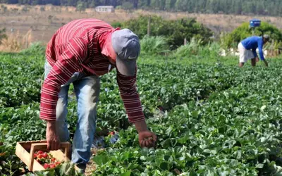 Foto: Renato Araújo/Agência EBC Foto: Renato Araújo/Agência EBC