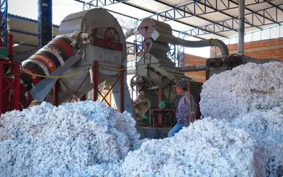 Foto: Yas Fonseca/MIDR Foto: Yas Fonseca/MIDR