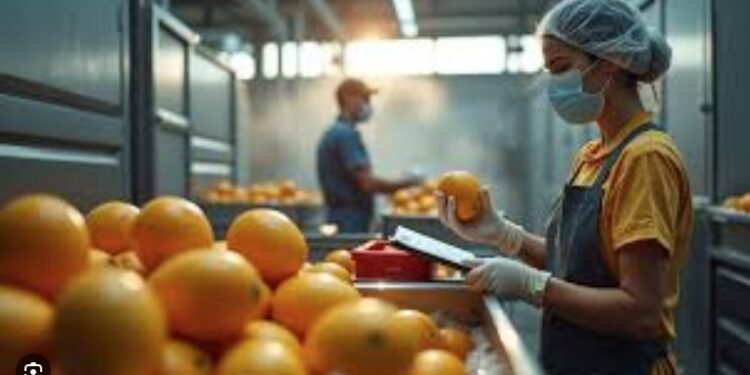 Pancas vai diversificar produção agrícola com abacaxi e citrus