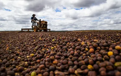 Foto: Wenderson Araujo/CNA
