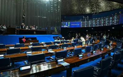 Foto: Jefferson Rudy/Agência Senado