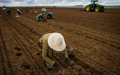 Foto: Wenderson Araujo/CNA