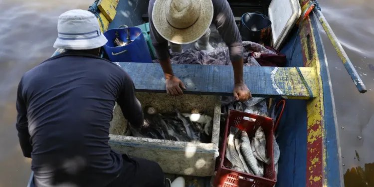 Pescadores beneficiados pelo Seguro-Defeso recebem 6º lote nesta terça