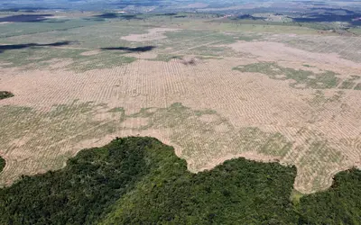 Foto: Felipe Werneck/Ibama Foto: Felipe Werneck/Ibama