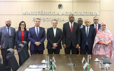 Foto: Percio Campos/Mapa