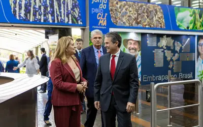 Foto: Beatriz Batalha/Mapa