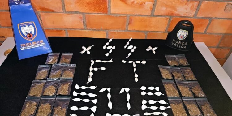 Polícia apreende drogas escondidas próximo a comércio em Barra de São Francisco