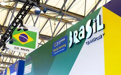 Foto: Beatriz Batalha/Mapa